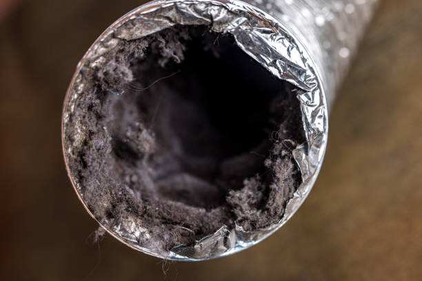 Best Air Duct Cleaning Near Me  in Landing, NJ